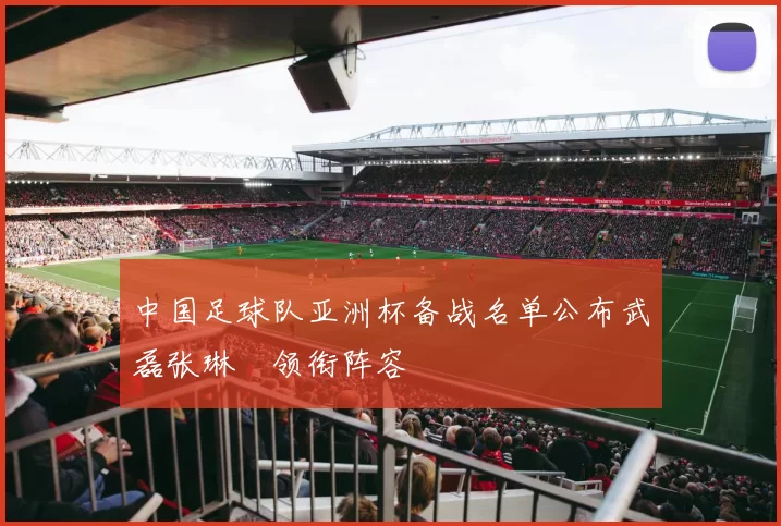 中国足球队亚洲杯备战名单公布武磊张琳芃领衔阵容